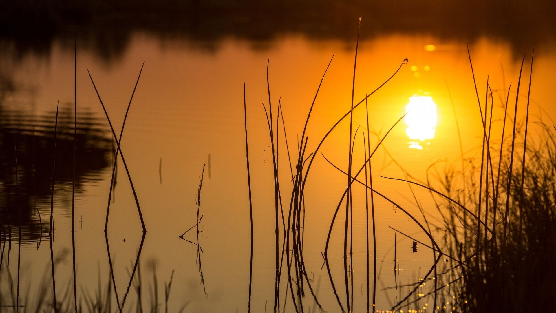 Församlingsretreat Wettershus