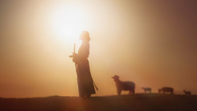 jesus siluett står o ber med sina får i soluåppgång