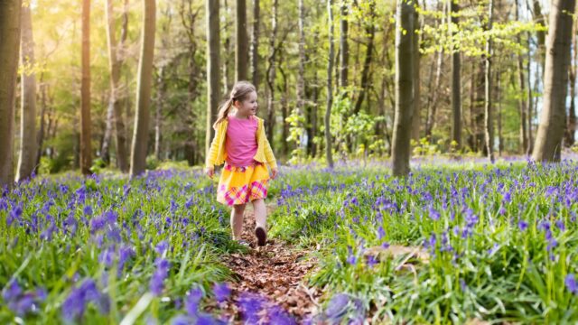 en flicka som går i skogen där vårblommorna blommar