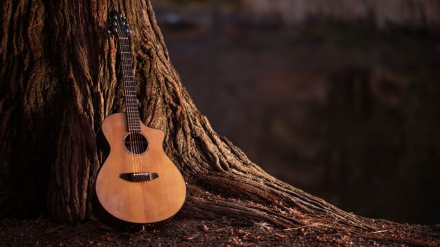 en akustisk gitarr som står lutat mot ett träd