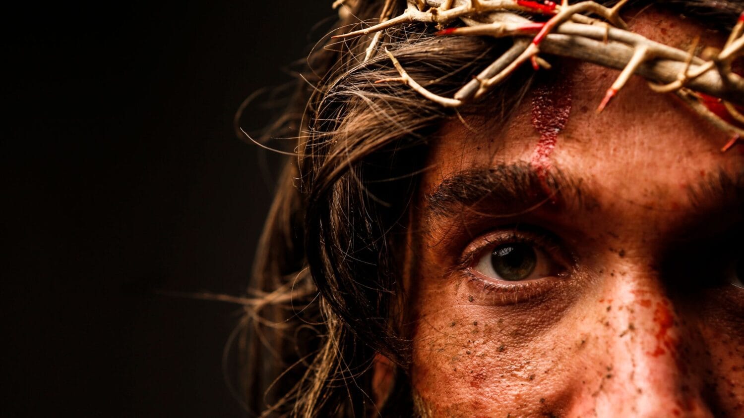 Jesus ansikte med törnekrona