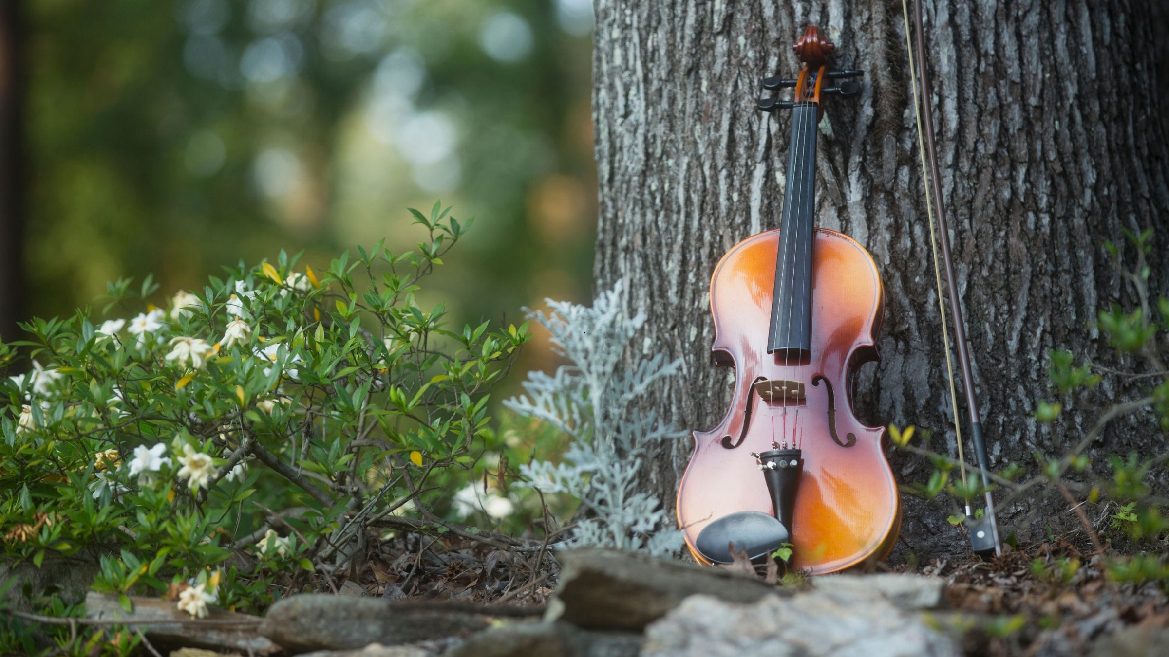Friluftsgudstjänst vid Djäknasundet