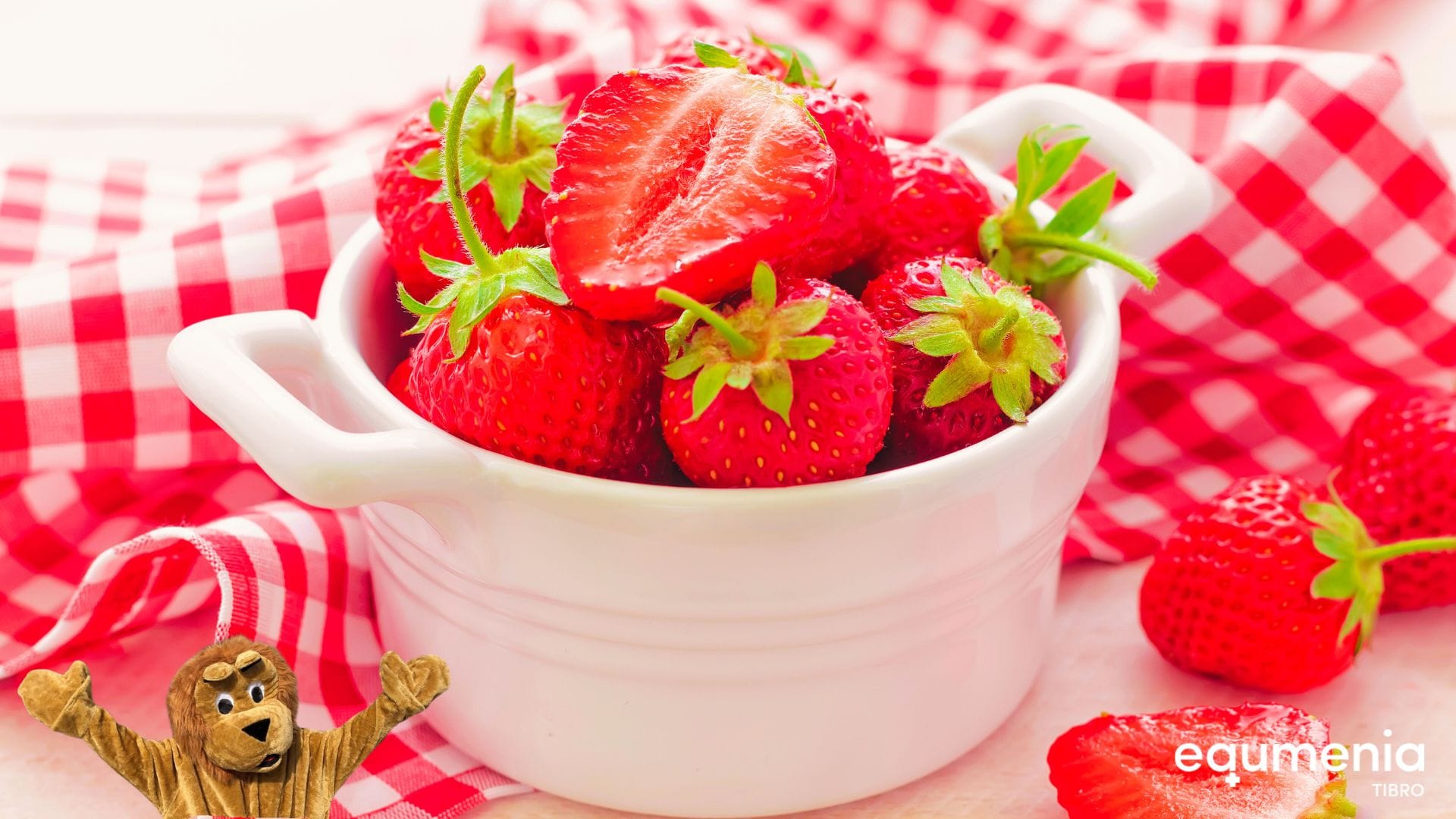 Kompisgudstjänst och Equmenias sommaravslutning på Missveden, Hjo