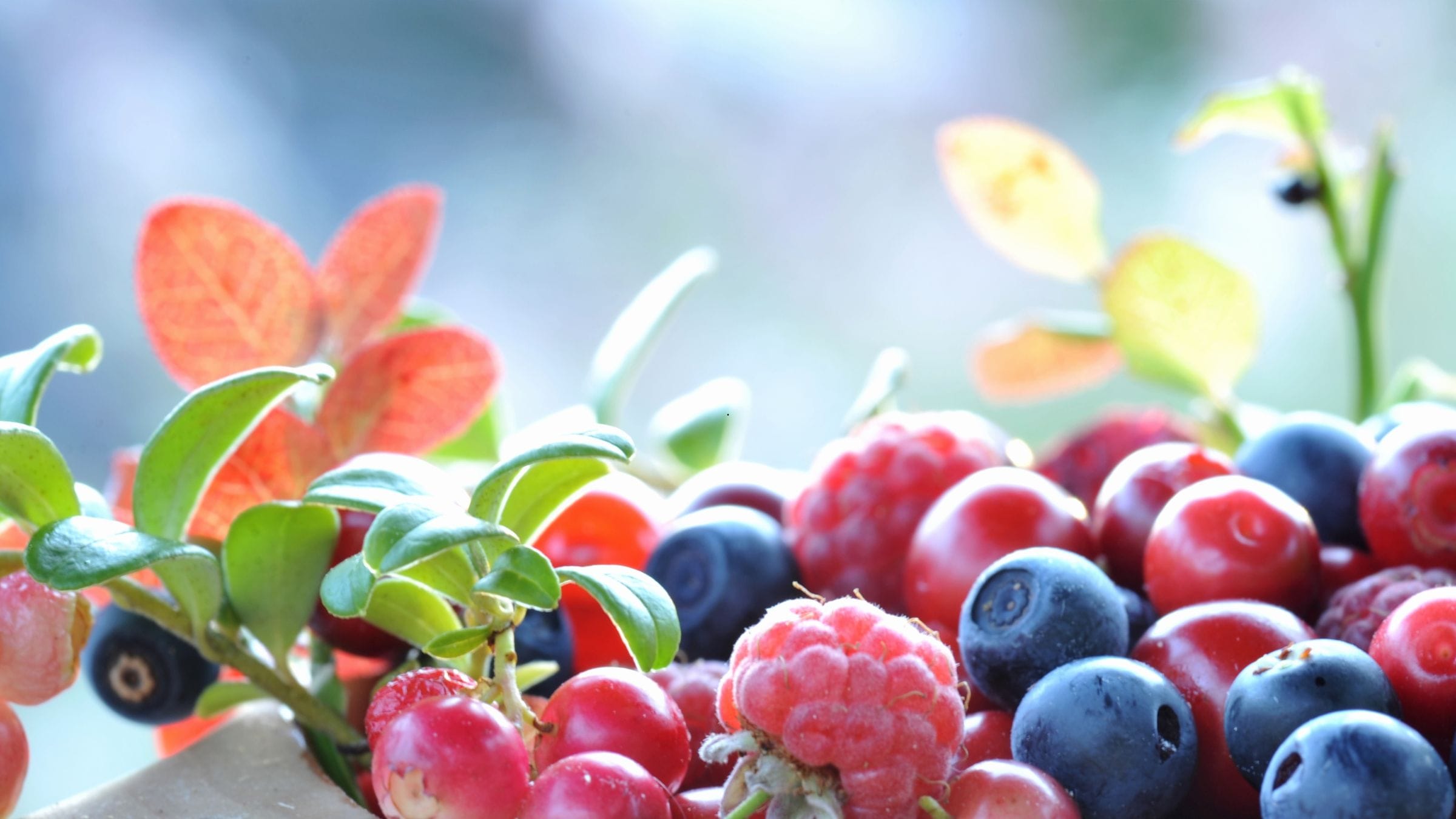 ”För en tid som denna!”